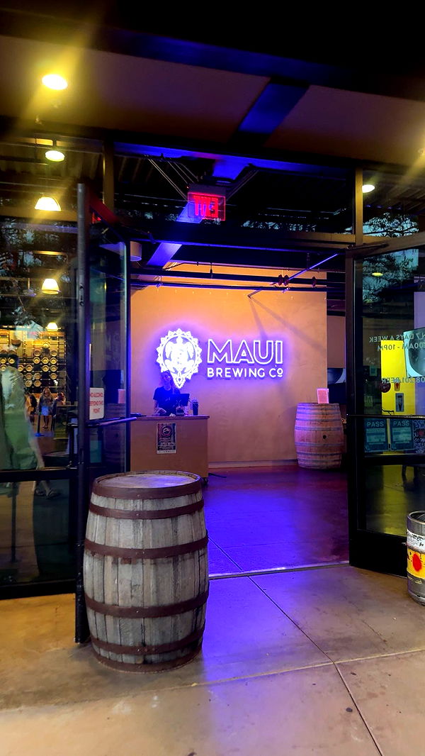 ameliabfit image ~ Altpins