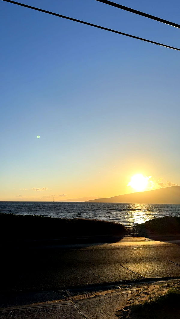 ameliabfit image ~ Altpins