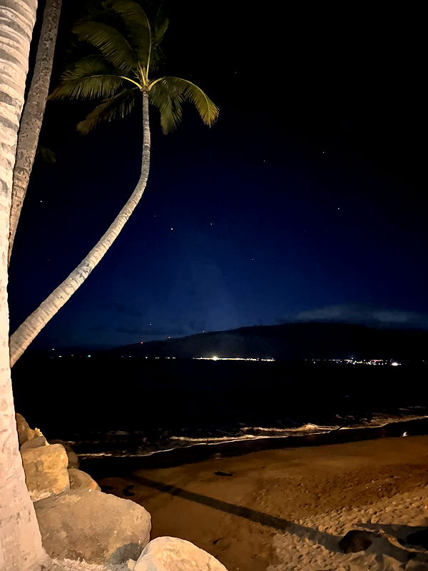 ameliabfit image ~ Altpins