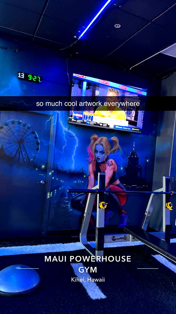 ameliabfit image ~ Altpins