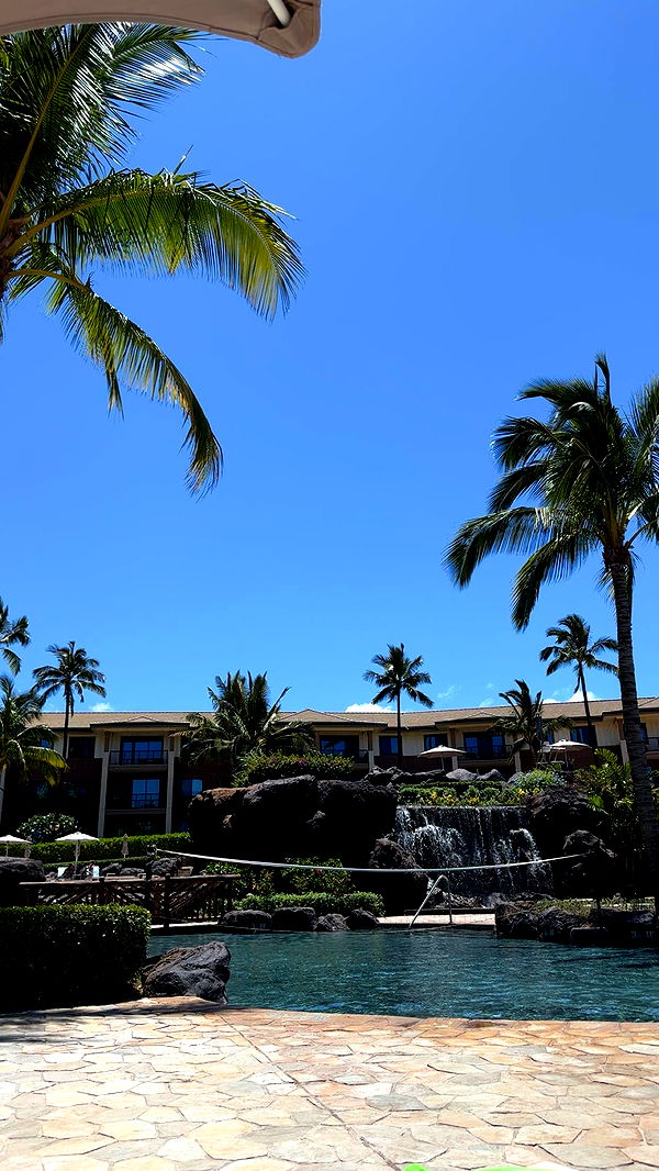 ameliabfit image ~ Altpins