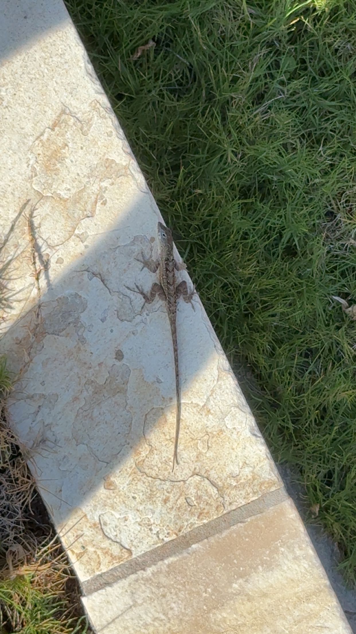 ameliabfit snapchat image archive image