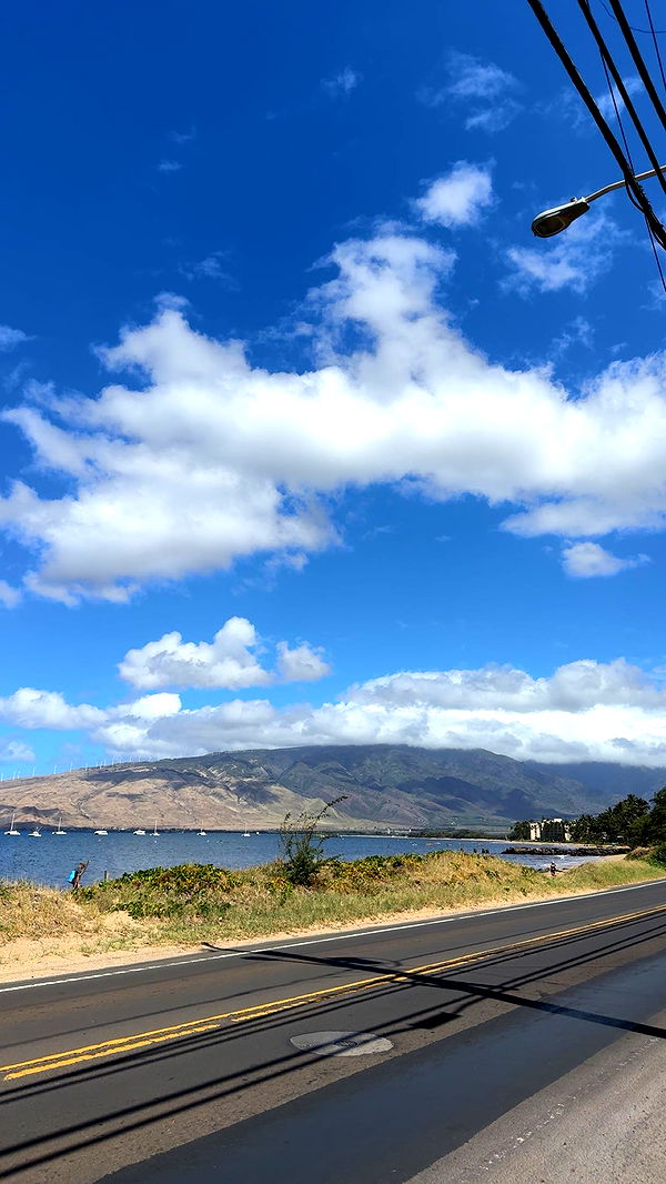 ameliabfit image ~ Altpins