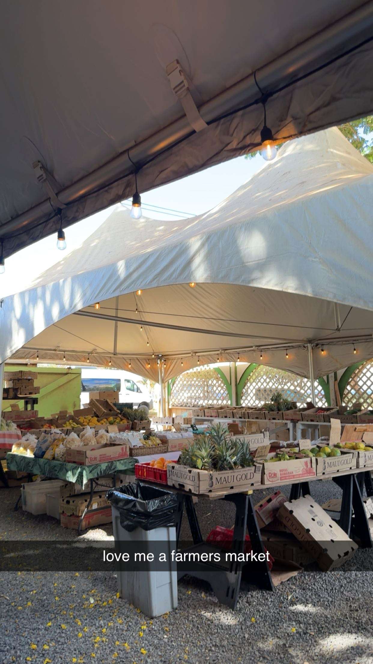 ameliabfit snapchat image archive image