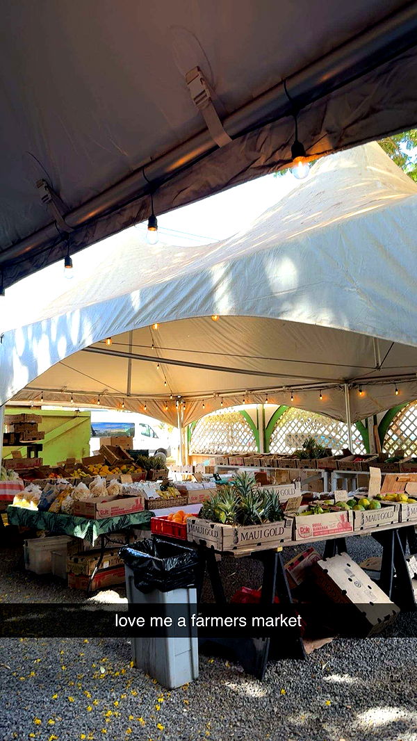 ameliabfit image ~ Altpins