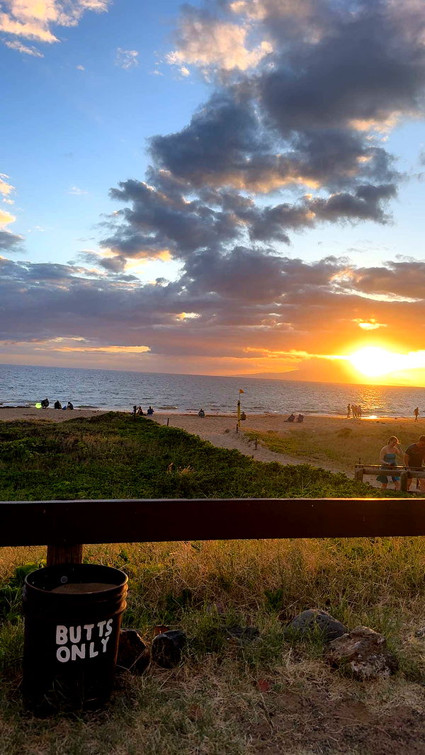 ameliabfit image ~ Altpins