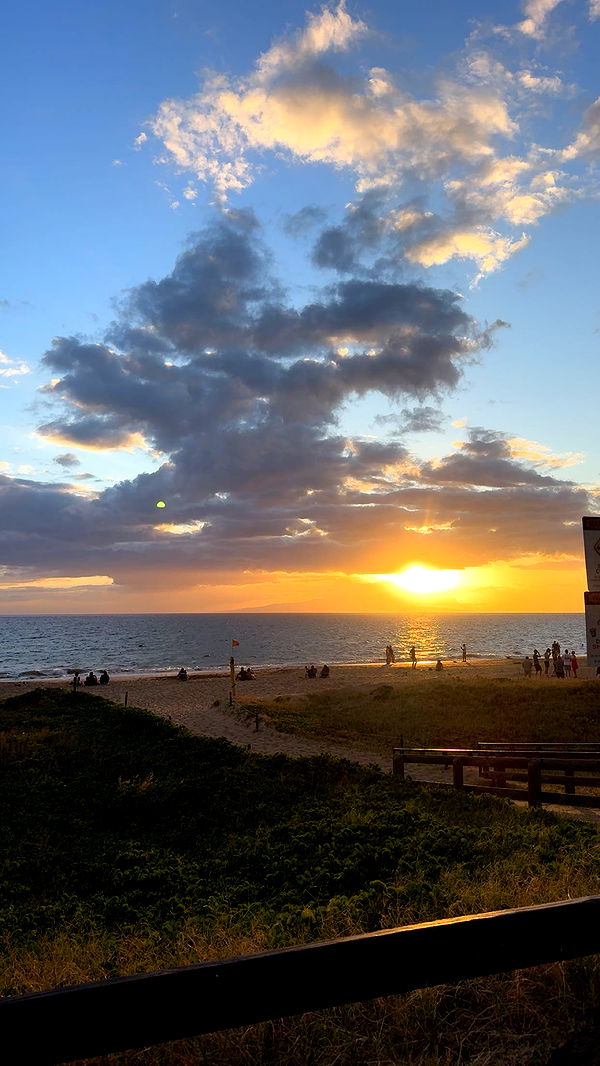 ameliabfit image ~ Altpins