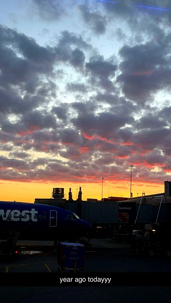 ameliabfit image ~ Altpins