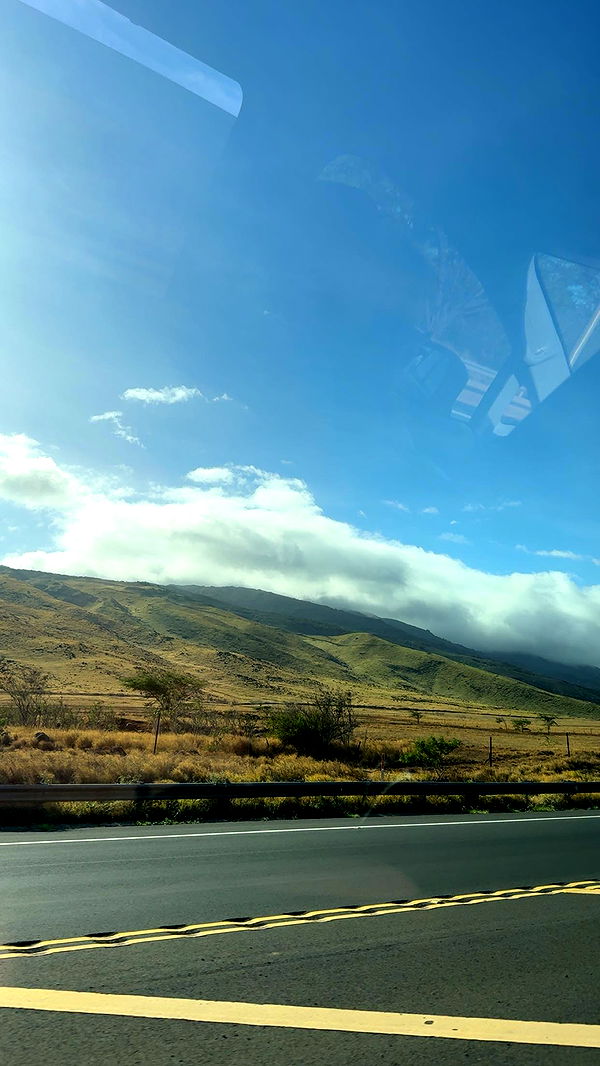 ameliabfit image ~ Altpins