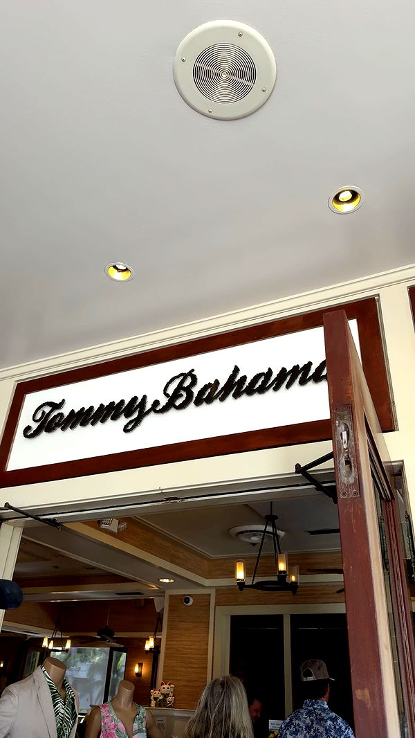 ameliabfit image ~ Altpins