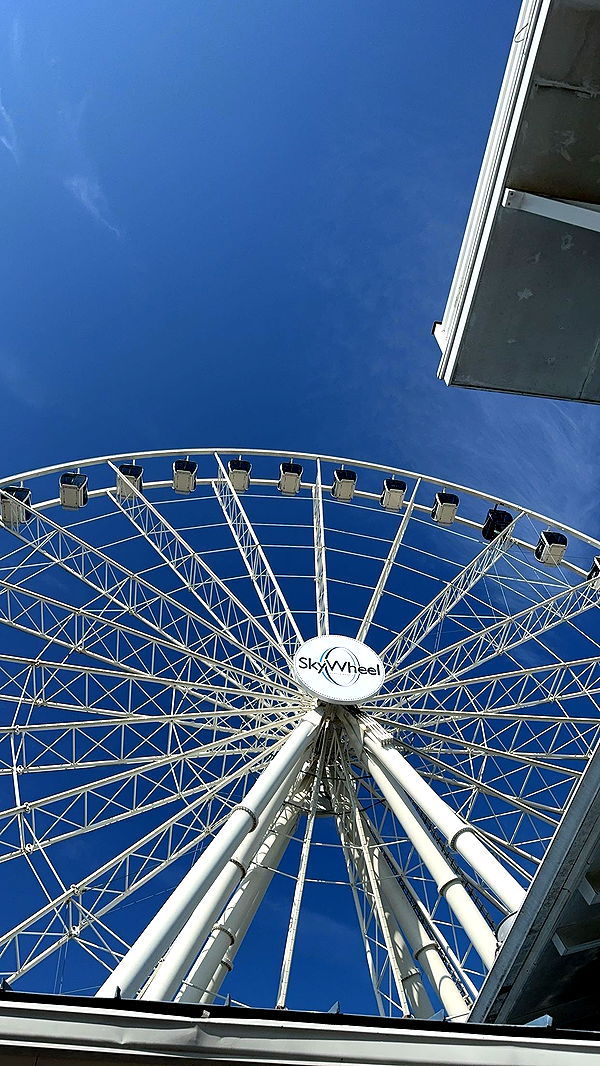 ameliabfit image ~ Altpins