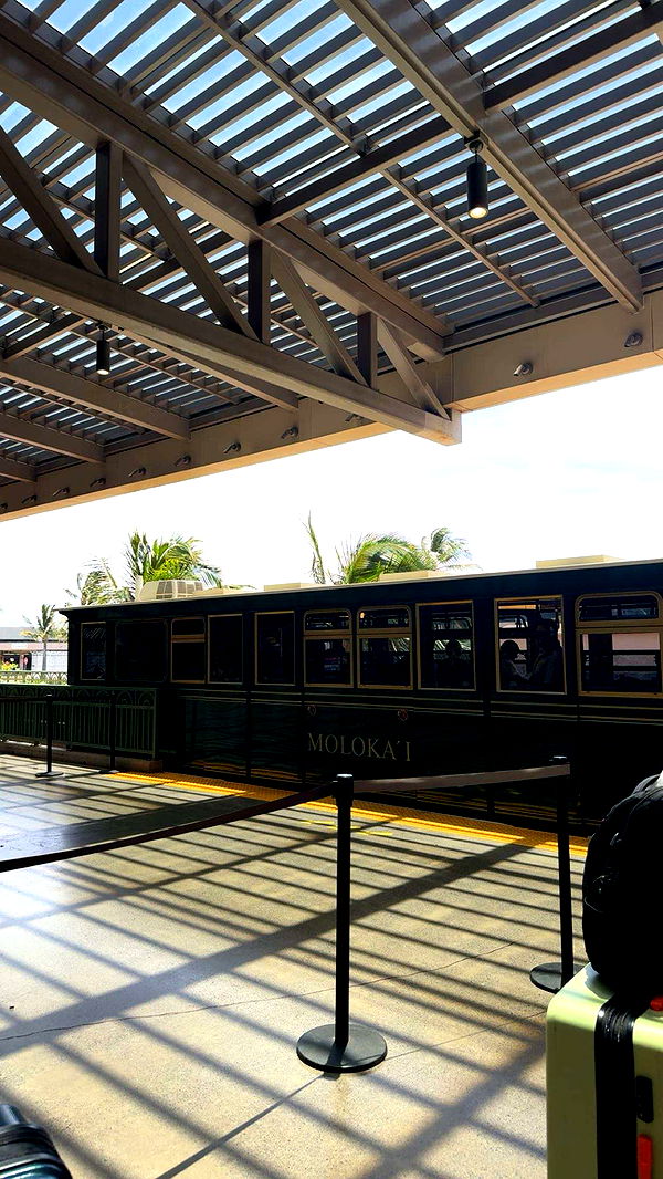 ameliabfit image ~ Altpins