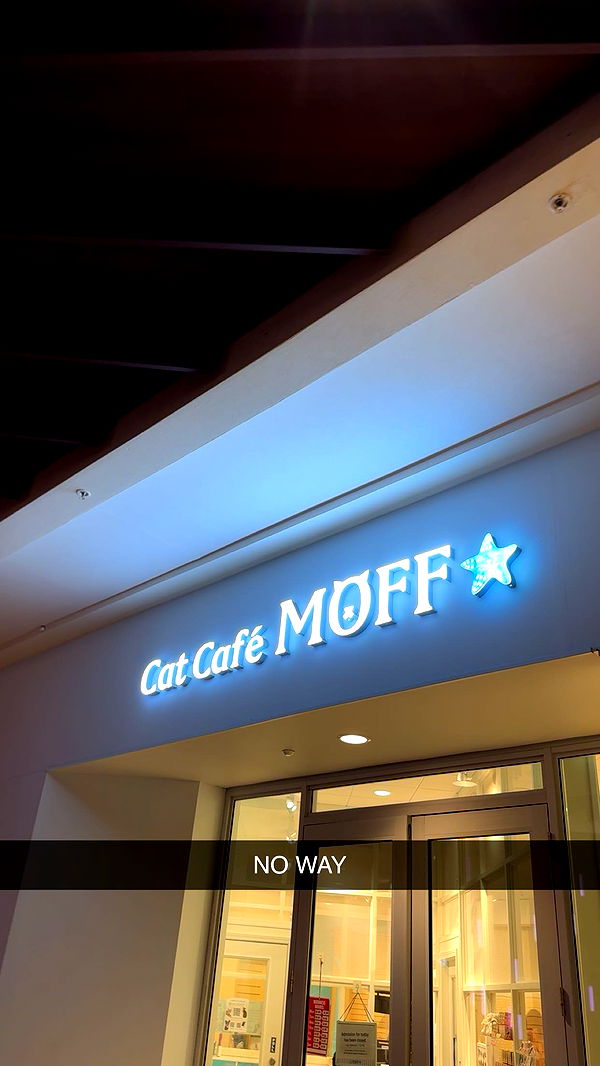 ameliabfit image ~ Altpins