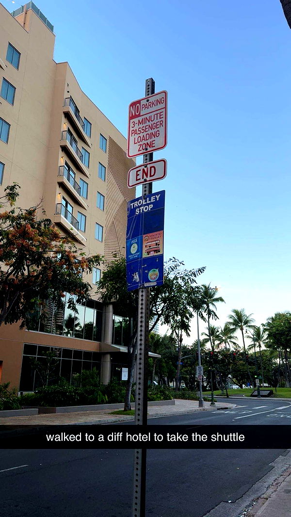 ameliabfit image ~ Altpins