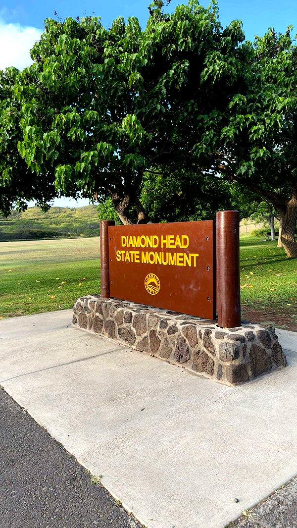 ameliabfit image ~ Altpins