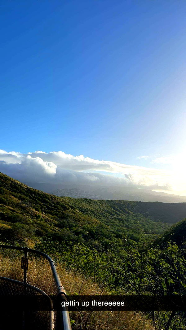 ameliabfit image ~ Altpins