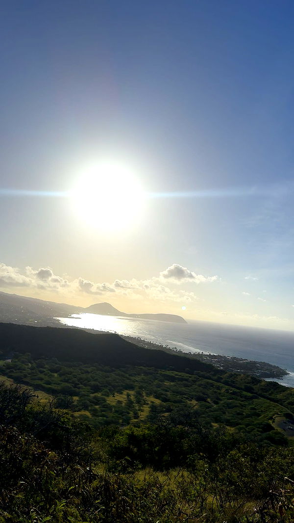 ameliabfit image ~ Altpins