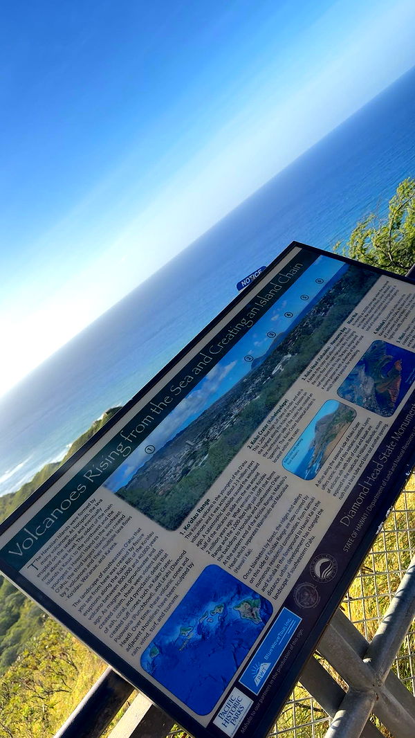 ameliabfit image ~ Altpins