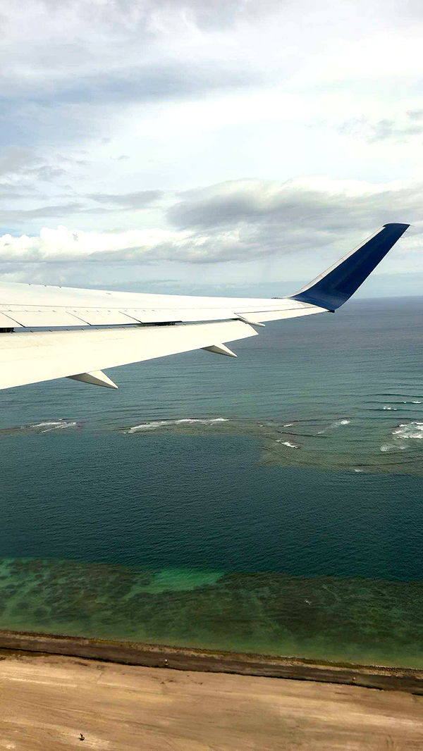 ameliabfit image ~ Altpins