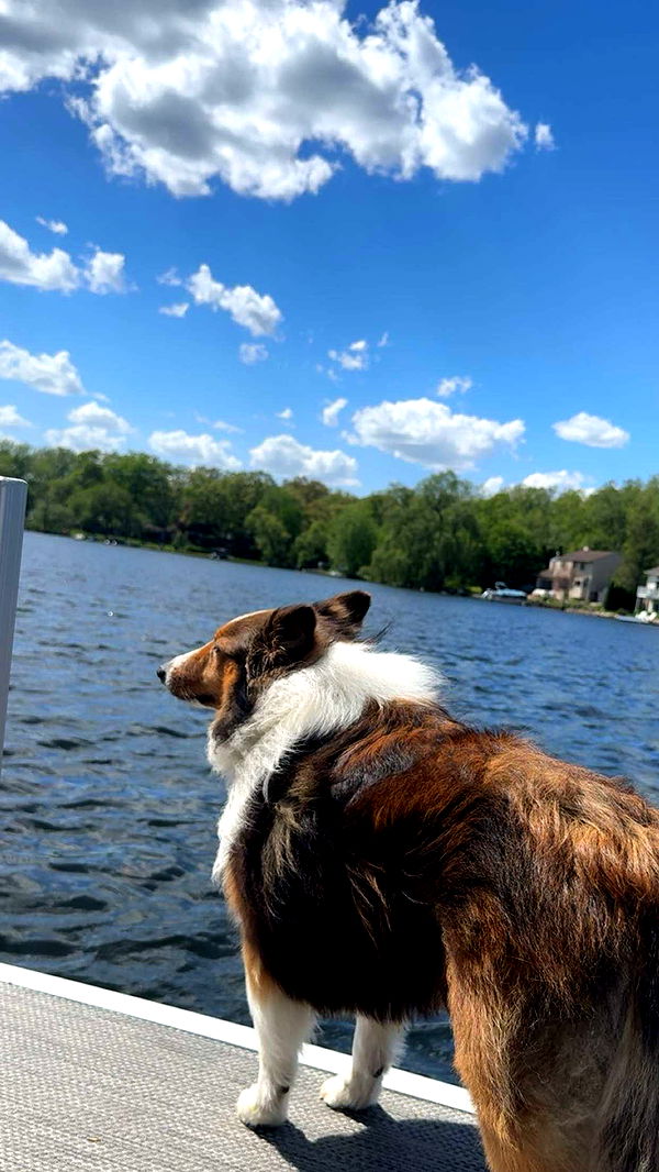 ameliabfit image ~ Altpins