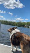 ameliabfit Altpins Profile Picture