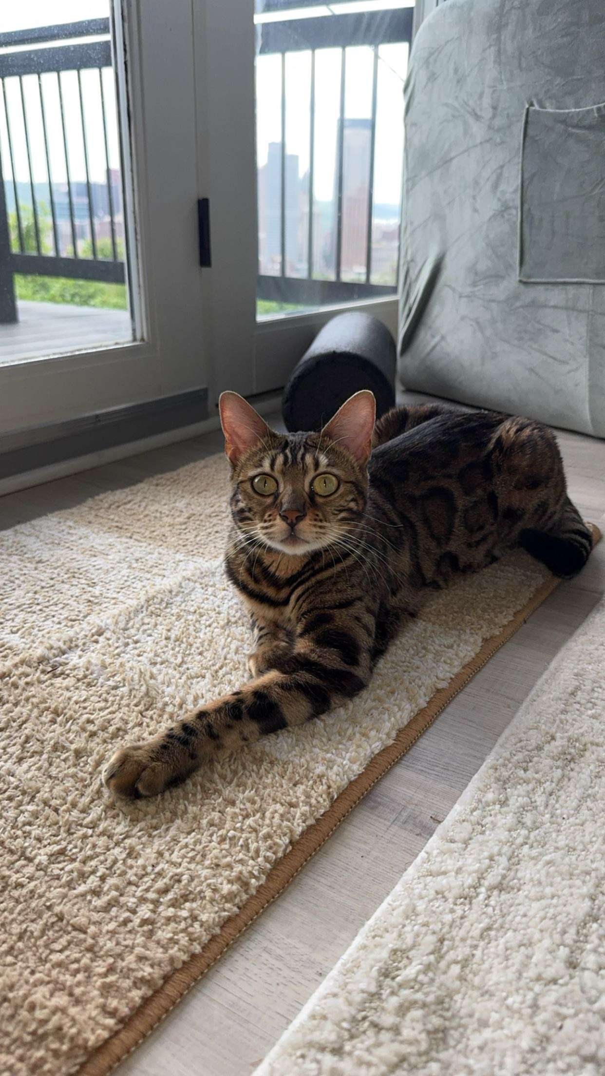 ameliabfit snapchat image archive image