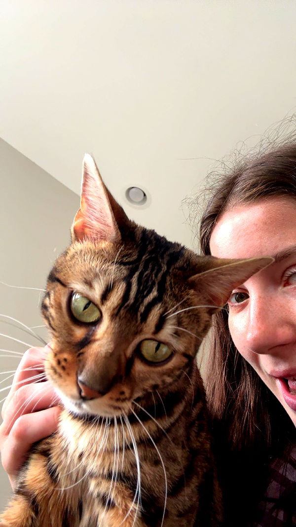 ameliabfit image ~ Altpins