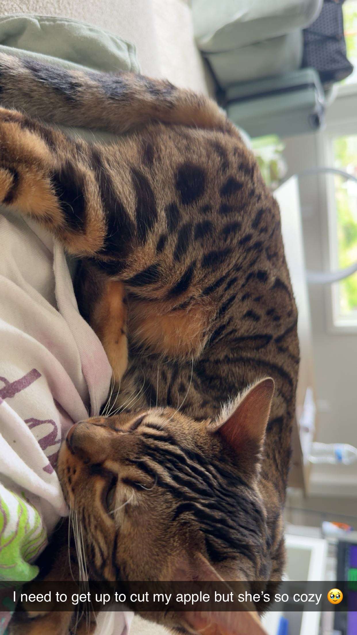 ameliabfit snapchat image archive image