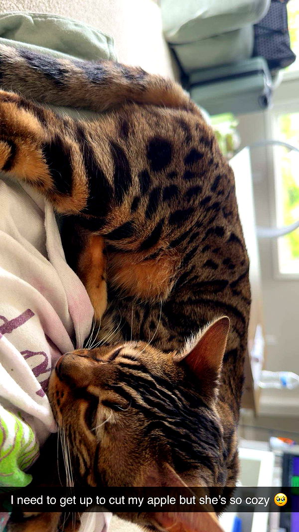 ameliabfit image ~ Altpins