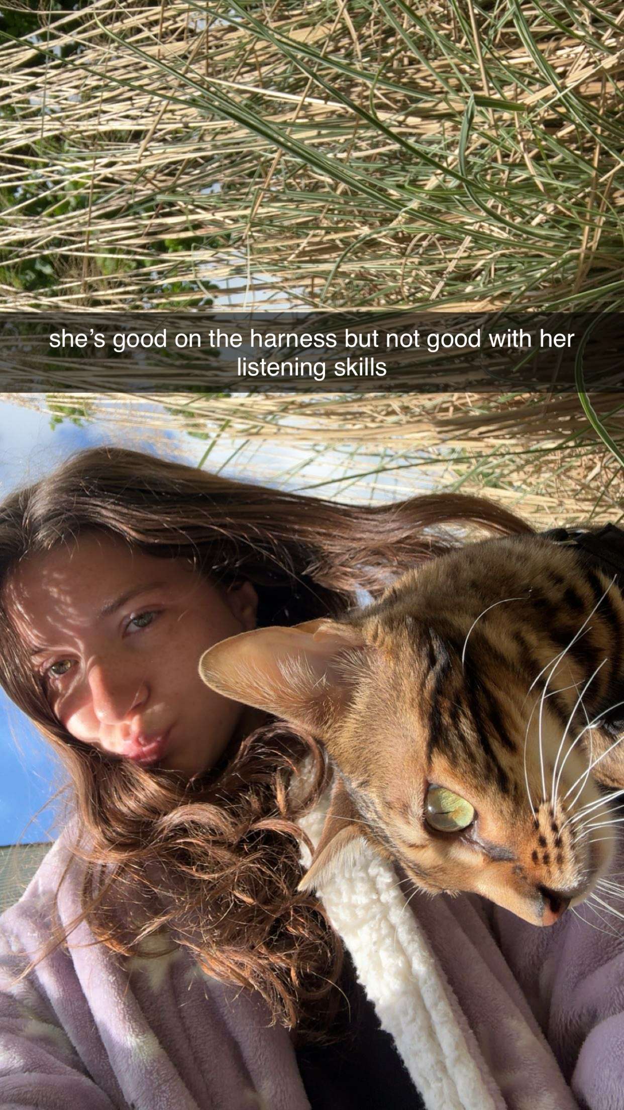 ameliabfit snapchat image archive image