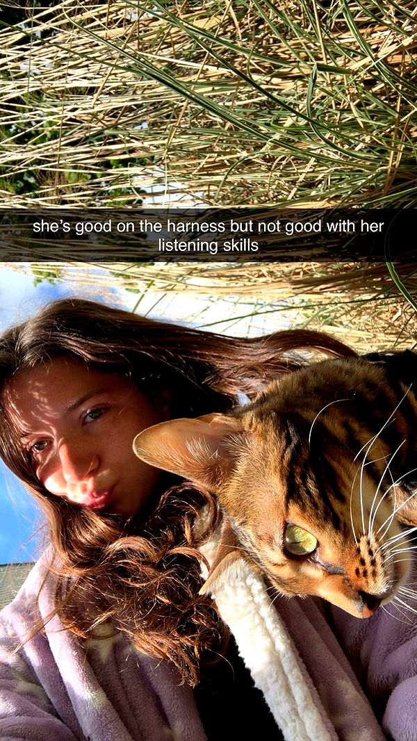 ameliabfit image ~ Altpins