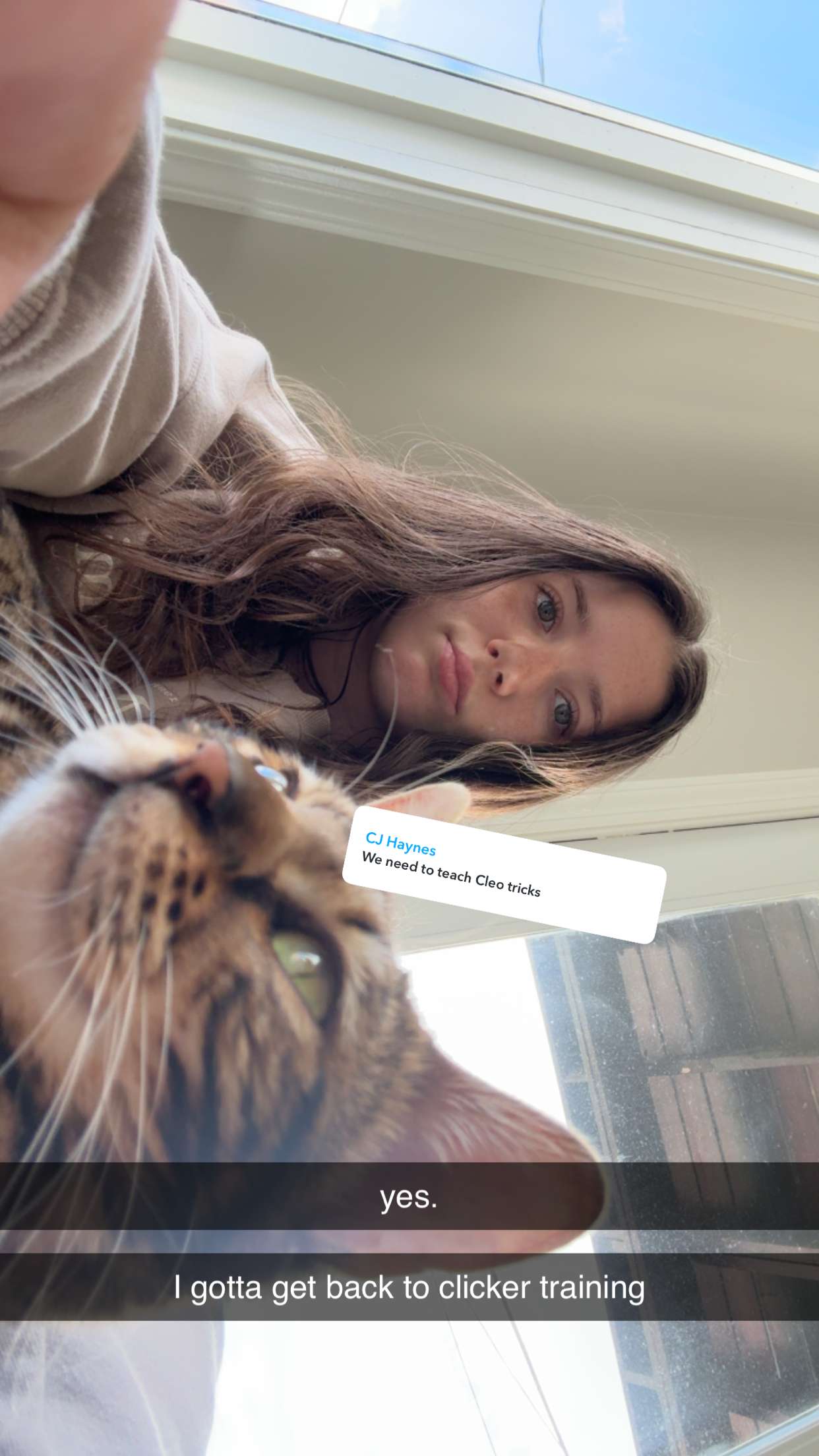 ameliabfit snapchat image archive image