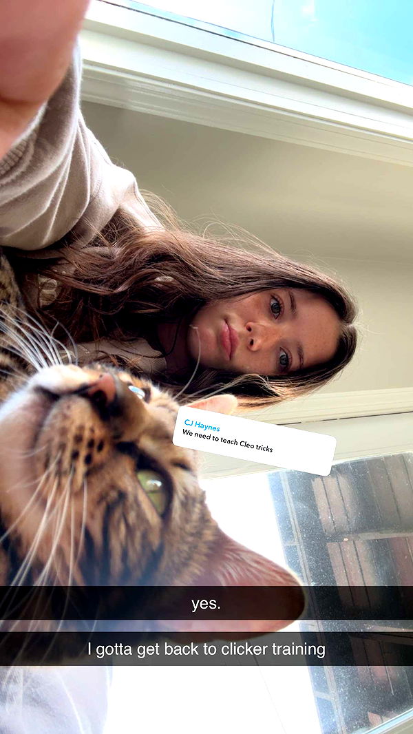 ameliabfit image ~ Altpins