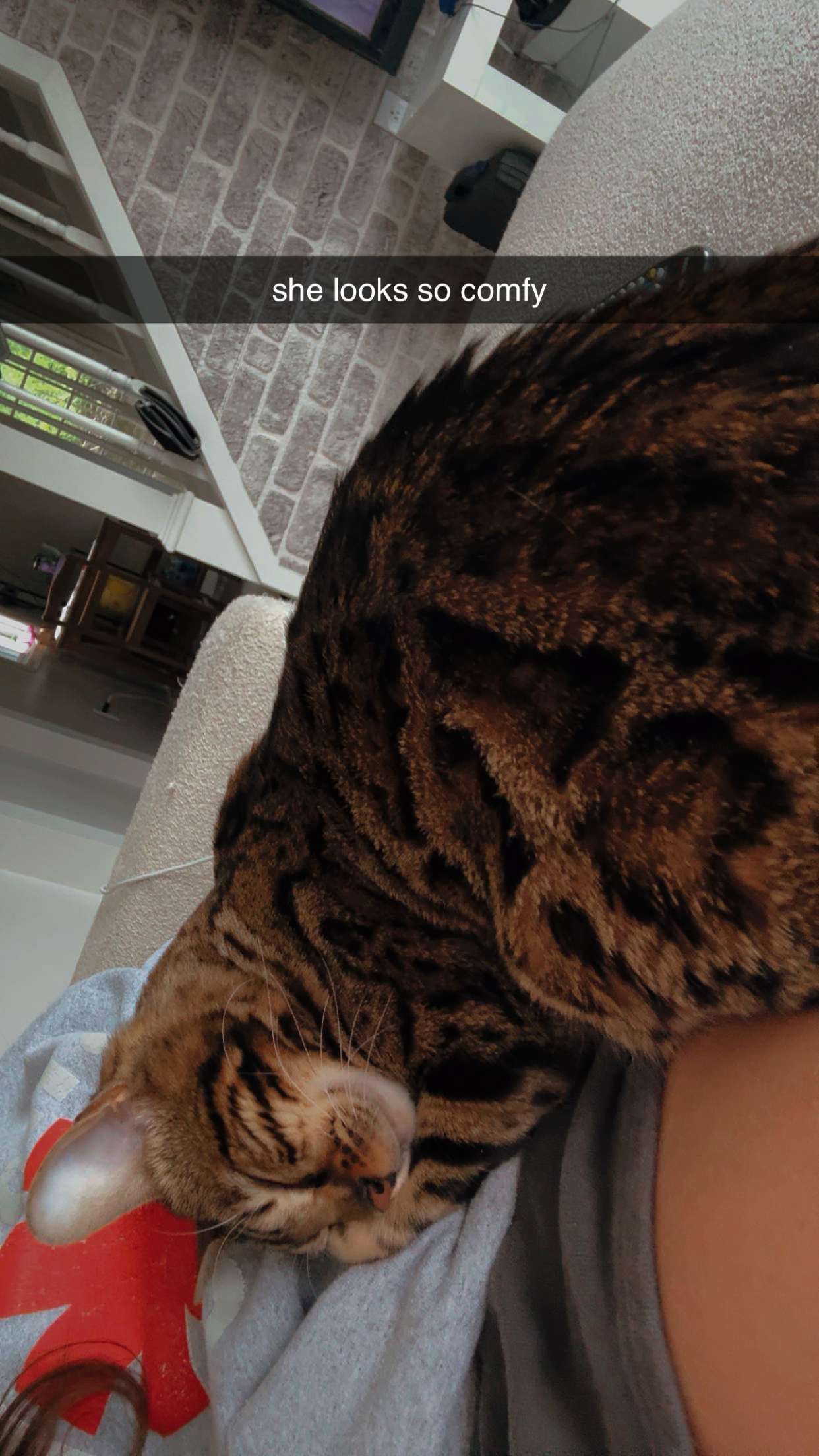 ameliabfit snapchat image archive image