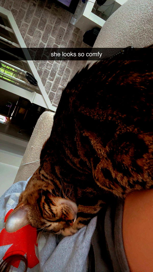 ameliabfit image ~ Altpins