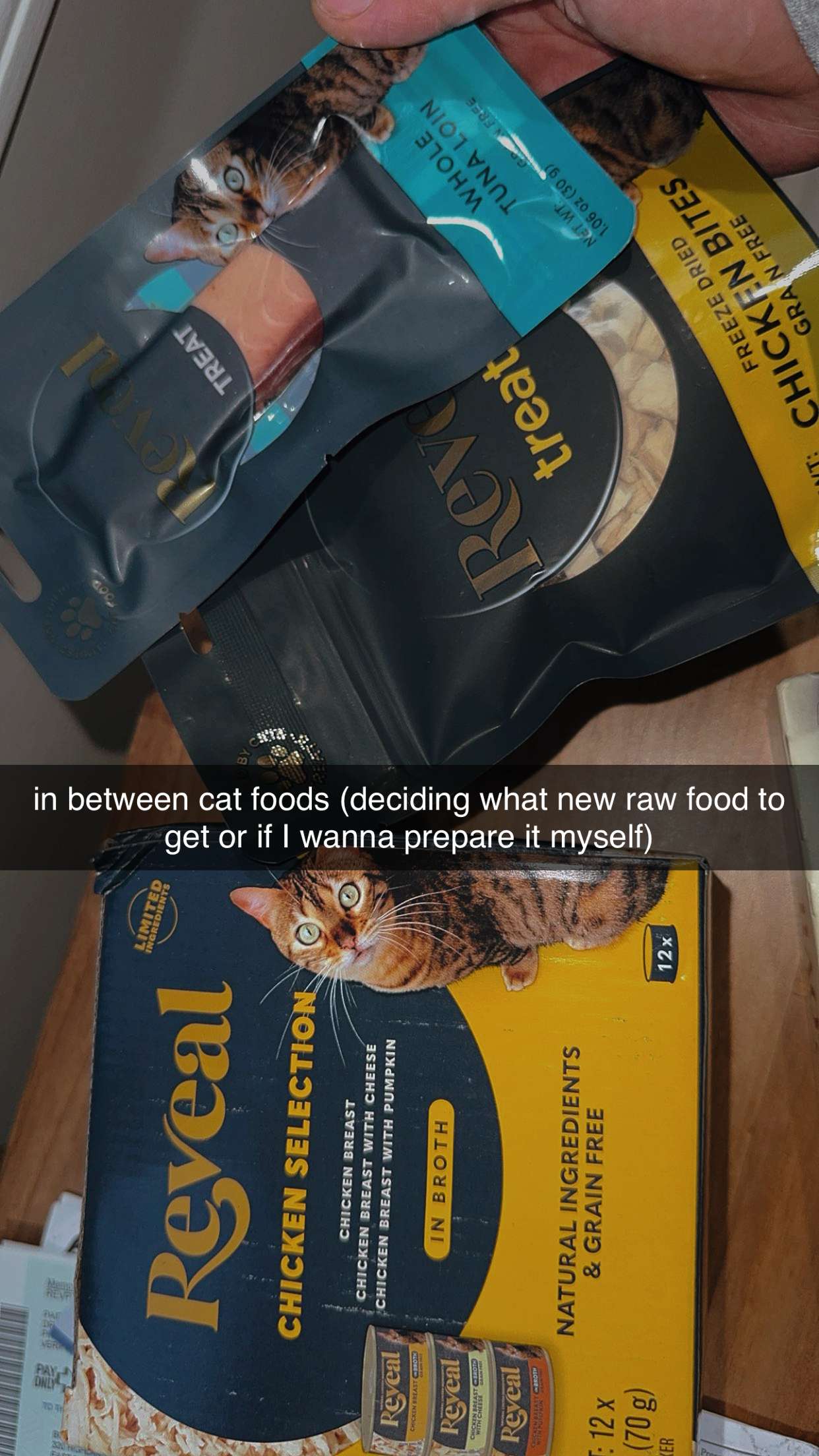 ameliabfit snapchat image archive image