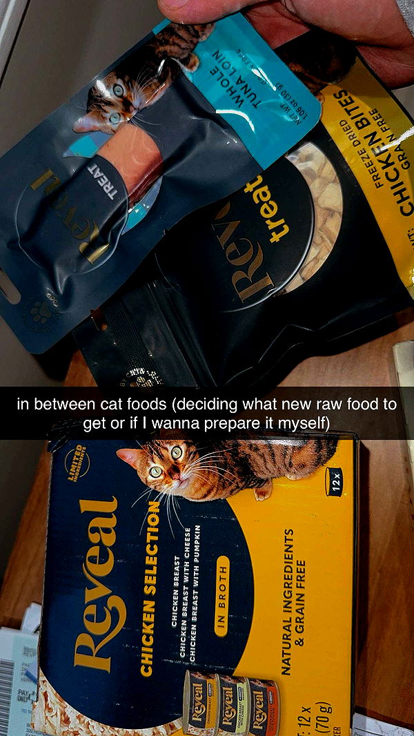 ameliabfit image ~ Altpins