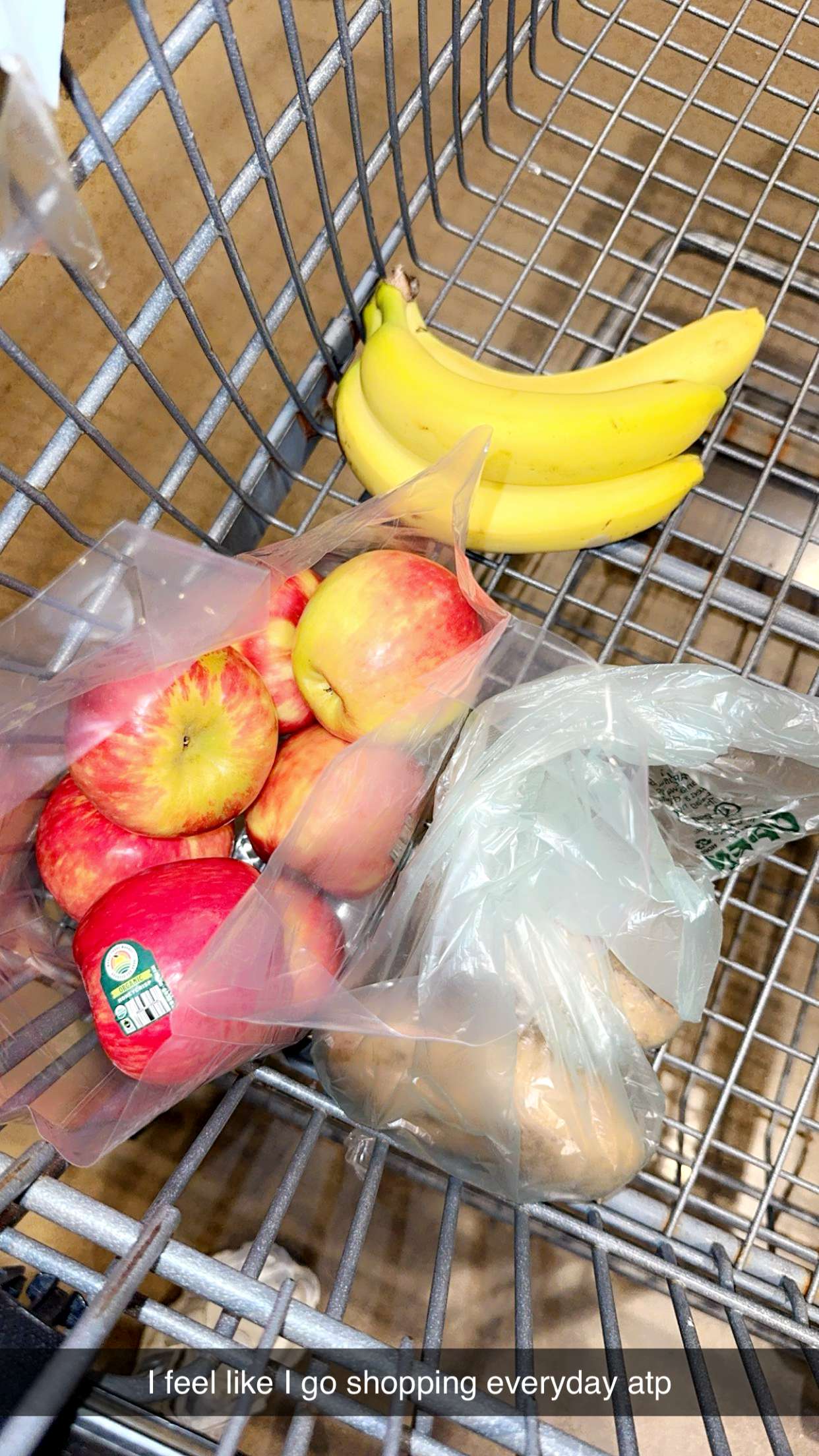 ameliabfit snapchat image archive image