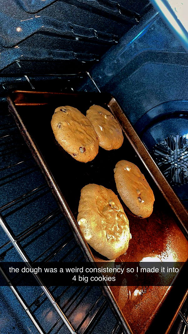 ameliabfit image ~ Altpins