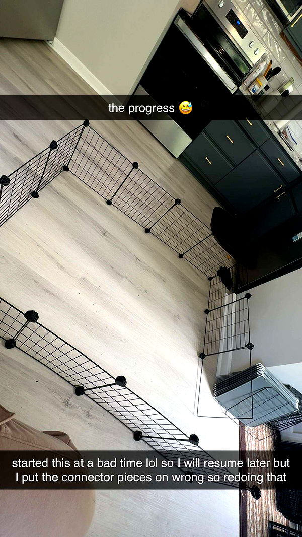 ameliabfit image ~ Altpins