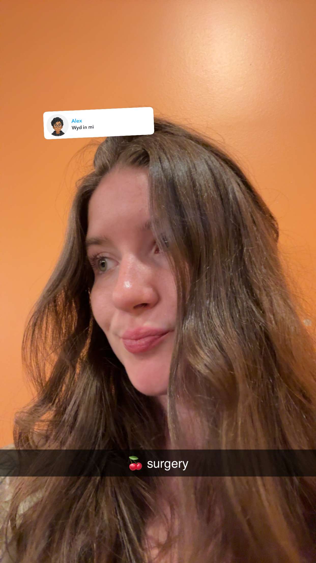 ameliabfit snapchat image archive image