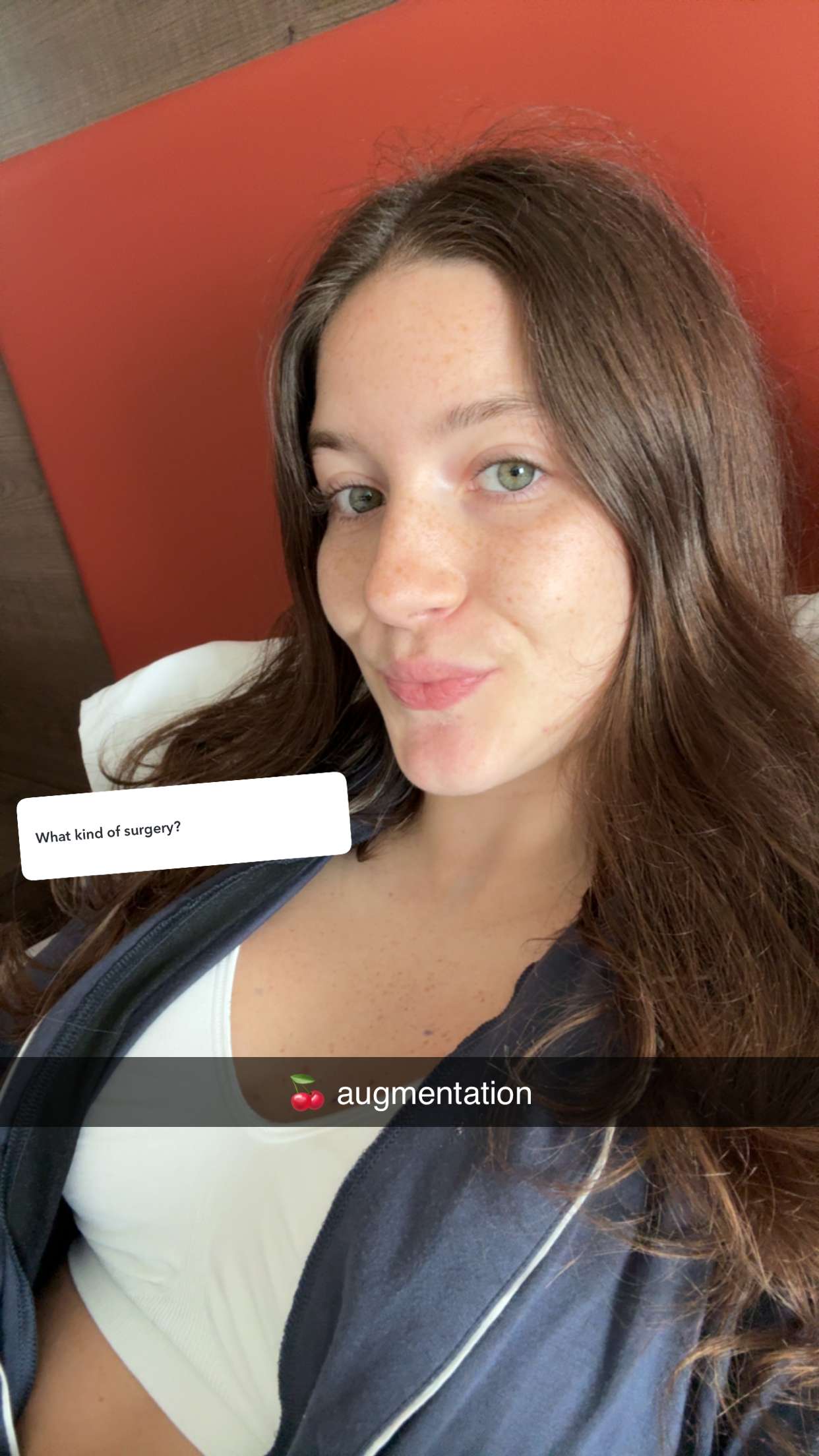 ameliabfit snapchat image archive image