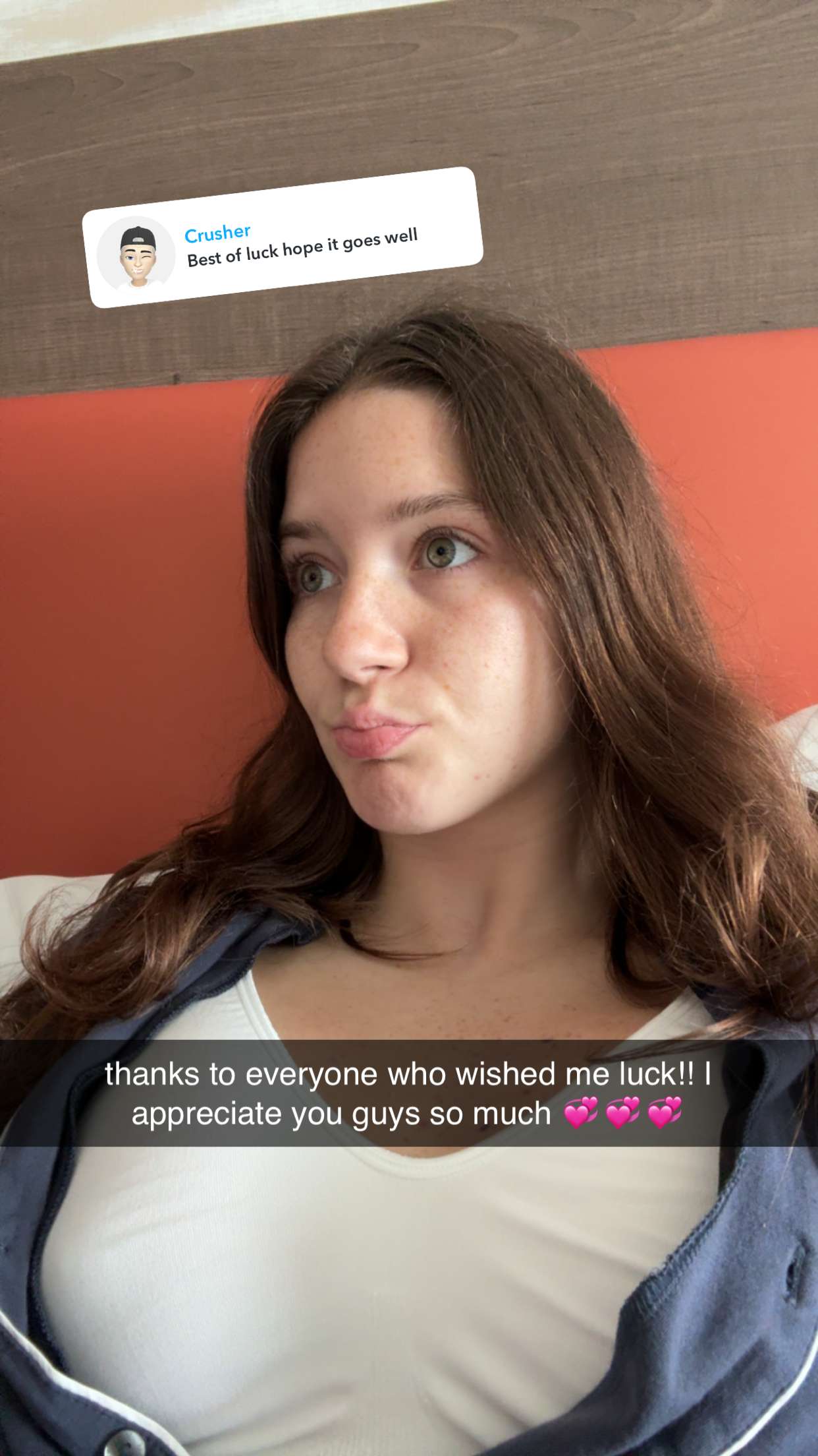 ameliabfit snapchat image archive image