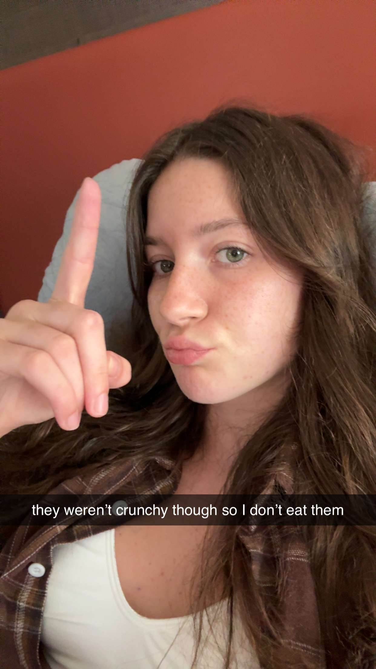 ameliabfit snapchat image archive image