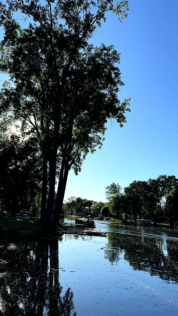 ameliabfit image ~ Altpins