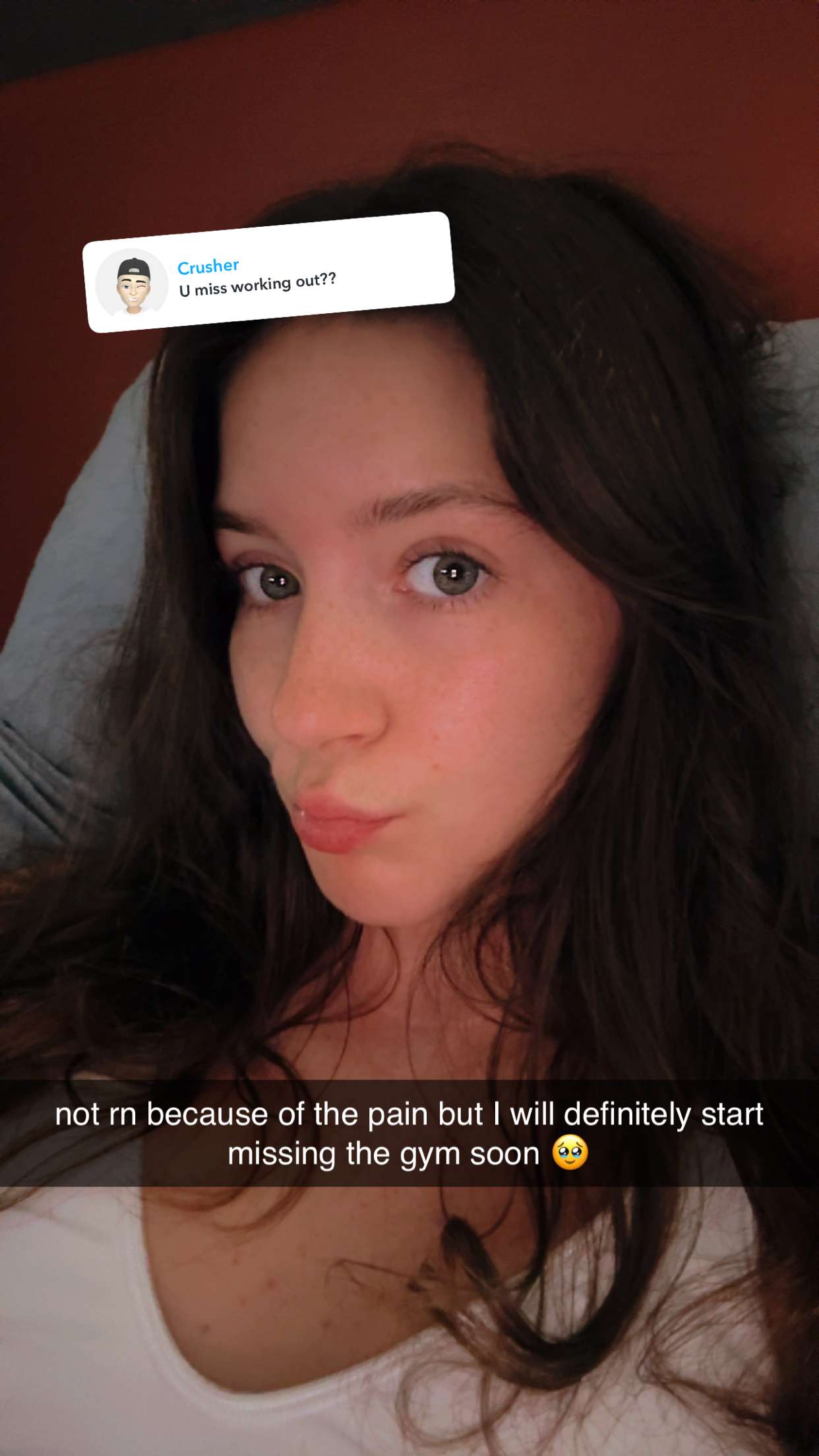 ameliabfit snapchat image archive image