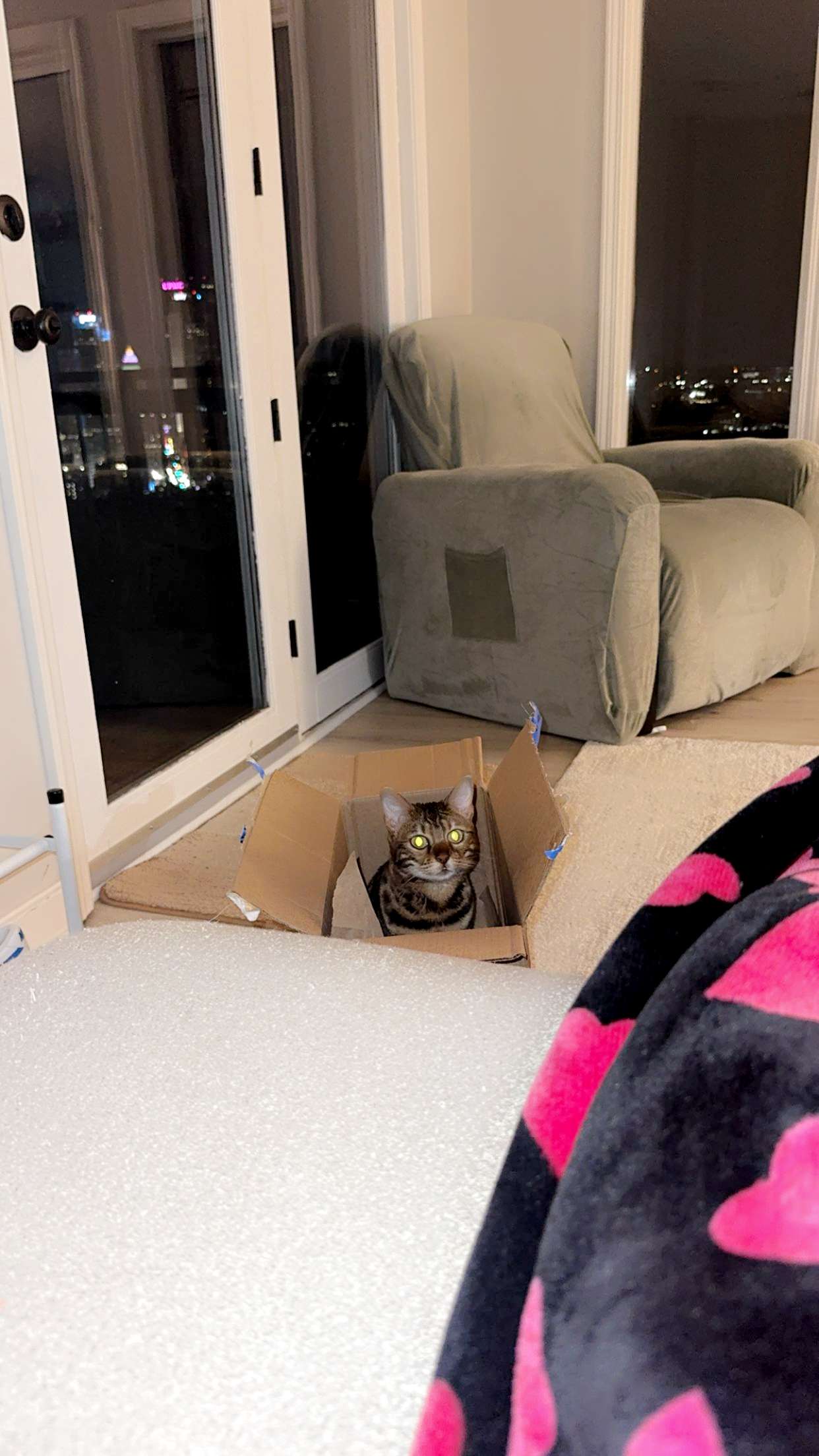 ameliabfit snapchat image archive image