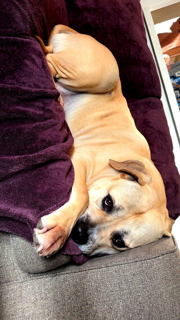 ameliabfit image ~ Altpins