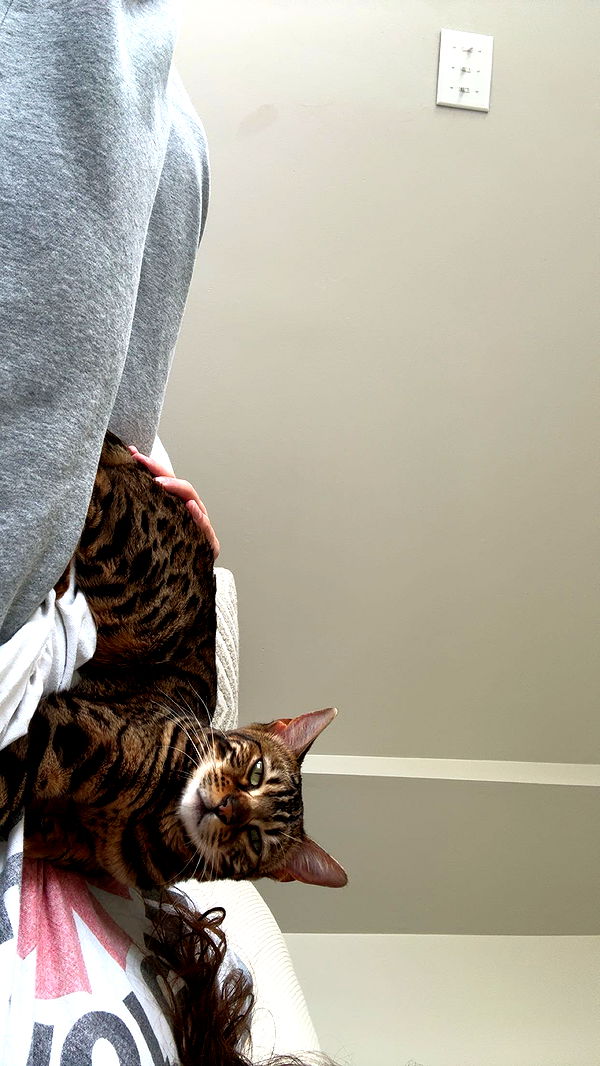 ameliabfit image ~ Altpins