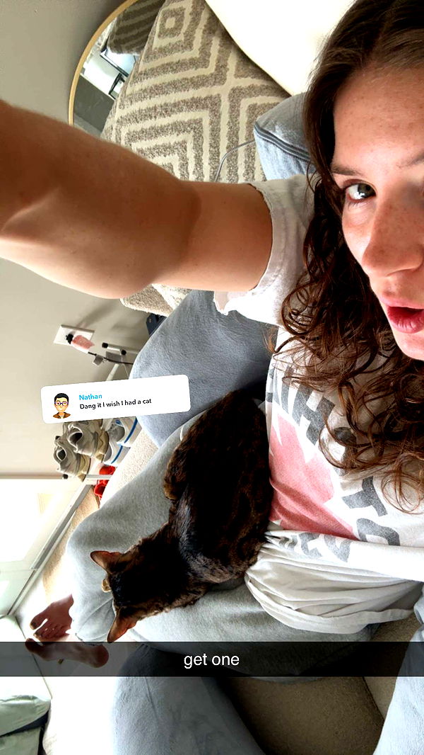 ameliabfit image ~ Altpins